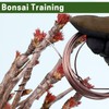 ZELARMAN ZELARMAN Bonsai Training Wire Set of 4 - Total