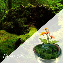 Gusaloo Moss Preserved Artificial Moss 8.8 oz Natural Fresh Green Moss for Craft Arts Floral Project Wall Decor Table Decor Wedding Centerpieces Garden Terrariums Decoration