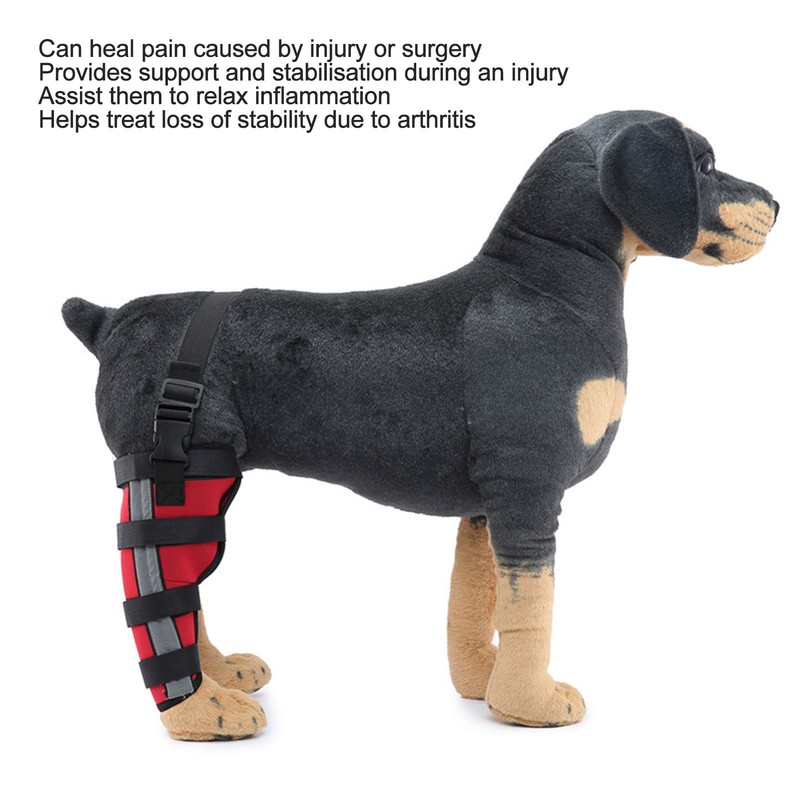 Dog Hind Leg Brace Breathable Comfortable Stable Support Pet Knee