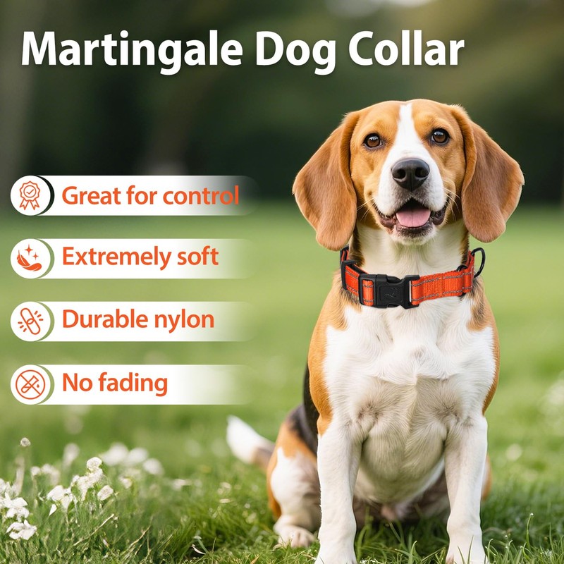 Erbine Neoprene Padded Martingale Collar for Dogs, Reflective Soft Nylon