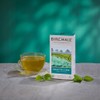 Green Tea & Mint - 15 Prism Tea Bags, Plant-Based