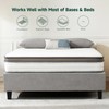 Z-hom Queen Mattresses, 10 Inch Queen Memory Foam and Spring