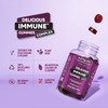 Immune Support 60 Blueberry Flavour Gummies | Two Month Supply