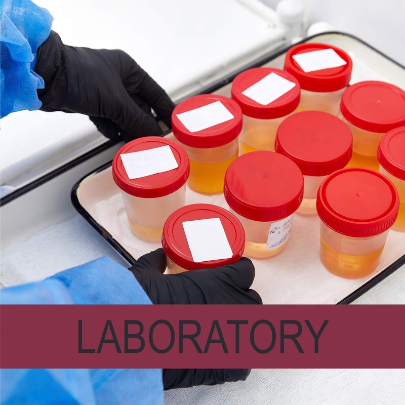 Medium Black Nyle Gloves (100 Count/Box)