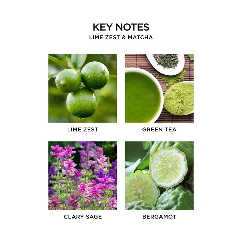 NEST Fragrances Lime Zest & Matcha, Smart Home Fragrance Diffuser