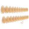 Barely There Nude Ombre Glossy Almond Press-On Nails - 24