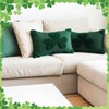 12 x 20 Inch St Patricks Day Pillow Cover St