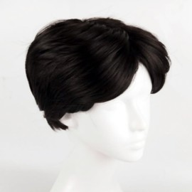 NICEHAIR 100% Human Hair Full Wig, Men's Wig, Short, Short Hair, Fashion, Soft, Natural, Harajuku Net, Breathable, Net Included (Dark Brown) Free