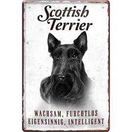 361 N / A Scottish Terrier Dog Letter 20 x 30 cm Decorative Saying Tin Sign