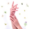 Tokotowa Organics Fragrance Hand Cream White
