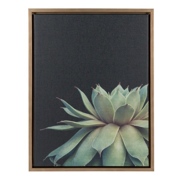 Kate and Laurel Sylvie Succulent Framed Canvas Wall Art by F2 Images, 18x24 Gold