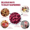 Freeze Dried Raspberries, Freeze Dried Fruit, 55G/1.94OZ