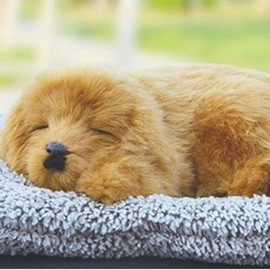 (Set of 3) Real dog doll activated carbon deodorizer car doll Indoor brown retriever/FREE 5ea