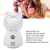 Nano Mist Sprayer Cute Bear Shape 300ML USB Humidifier Skin
