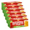 Luzianne Green Tea Bags, Family Size, 24ct Box (Pack of