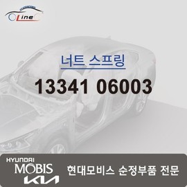 Hyundai Mobis Nut Spring 13341 06003 / 너트 스프링 13341 06003