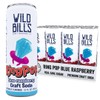 Wild Bill’s Blue Raspberry Ring Pop Craft Soda Pop Soft
