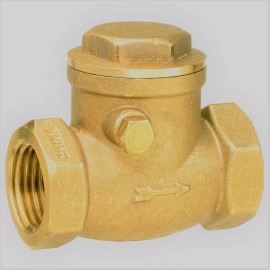 Unbranded 2" Inch Brass Swing IPS Check Valve NPT Threaded Plumbing Fitting 200 WOG