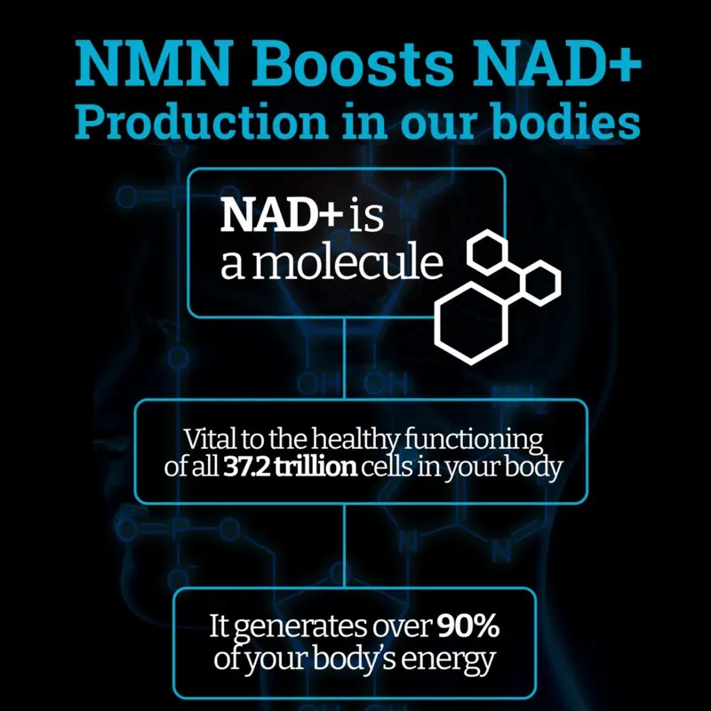 Black Forest Supplements NMN 1000mg – Dietary Supplement with BioPerine