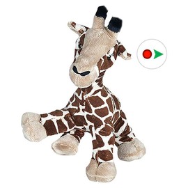 Beary Fun Friends Recordable 8" Plush Gerry The Giraffe w/20 Second Digital Recorder for Special Messages, Rymes or Songs