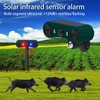 Solar Outdoor Motion Detection Siren - 2 x 130 dB