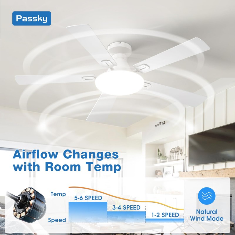 Passky Ceiling Fans with Lights, 52 inch Flush Mount Ceiling