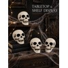 4 Pcs 5in Plastic Skulls Halloween Skeleton Cobweb 20 Spiders