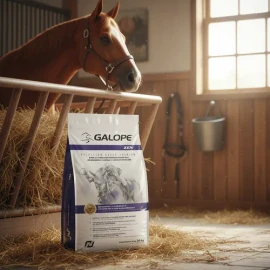 Galope Zen 20kg Proteínas Para Caballos Deportivos