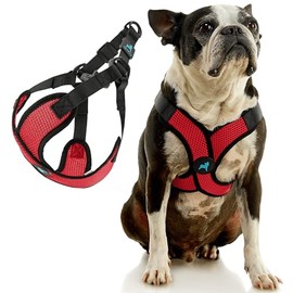 Gooby Comfort X Step in Lite Dog Harness - Choke Free, Escape Free with Light Breathable Mesh - Step in Dog Harness for Small and Medium Dogs - Quick Release Buckle, Metal D-Rings - Red, X-Large