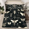 Butterfly Moth Insects Fitted Sheet Queen Size,Bug Beetles Entomological Bed