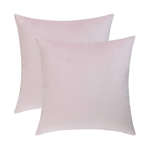 Jeneoo Set of 2 Cozy Soft Velvet Throw Pillow Cases