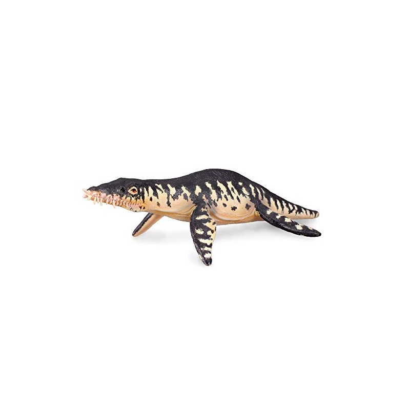 Liopleurodon Dinosaur