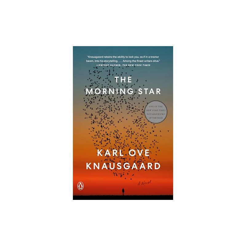 The Morning Star: A Novel