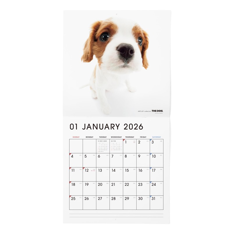 THE DOG 2026 Wall Calendar Large Size (Cavalier King Charles