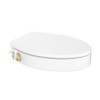 Swiss Madison Ryse 3 in. Raised Elongated Soft Close ADA