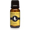 Golden Hydrangea Premium Grade Fragrance Oil - 10ml - Scented