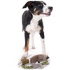 Wildlife Training Duck Dog Toy Size M