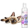 The Blissful Cat Bye Bye Boo Boo Cat Shampoo, 4-Ounce