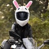 Omoojee Motorcycle Helmet Cover, Funny Helmet Decoration, Fun Rides and