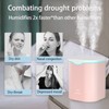 2L Double Spray Humidifiers with LED light Cool Mist Auto