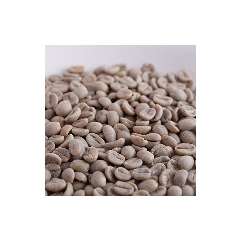 Baisen Koubou Coffee Club Emerald Mountain 17.6 oz (500 g)