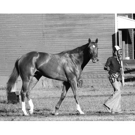 SECRETARIAT PHOTOS ~ Belmont Stakes 8 x 10 HORSE Race ~ Ron Turcotte ~ LOT of 2