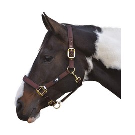 Hy Grand Prix Head Collar Hot Orange Cob