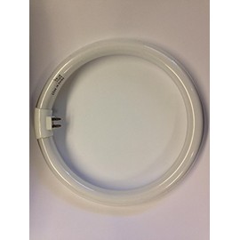 4 PIECES FC8T5/CW 22W T5 4100K 7.5" G10Q BASE CIRCLINE BULB