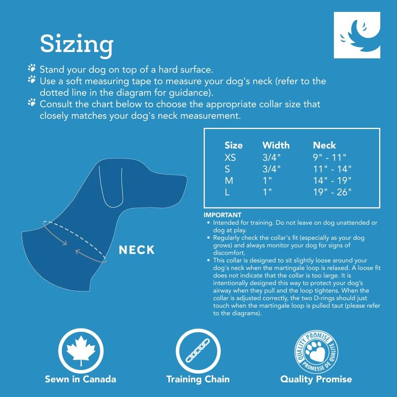 RC Pets Sporty, Durable, Functional Training Collar | Strawberries, Medium