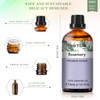 Phatoil Rosemary 1.0 fl oz (30 ml), Essential Oil, Essential