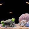 PENGYETHTY Goldfish, Aquarium, Hideaway, Aquarium, Tunnel, Aquarium, Object, Fish, Tropical