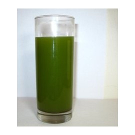 Organic Japanese Matcha Tea, high antioxidants and energy drink, green teas – 1lb Tea in foil Bag