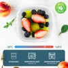 EFISH 10 pieces rectangular plastic portion box sets with lids.