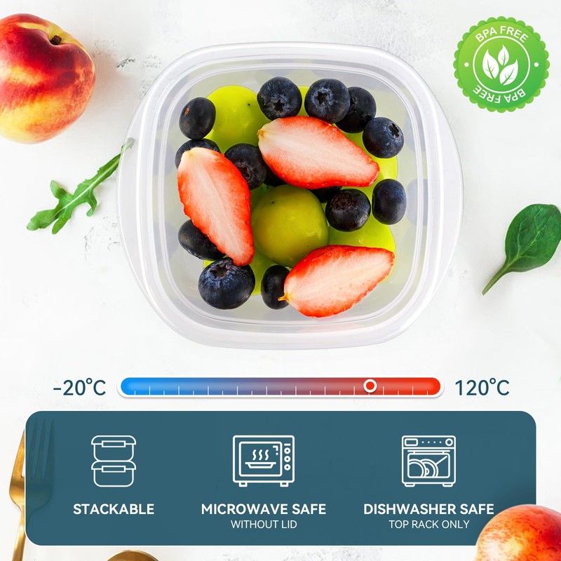 EFISH 10 pieces rectangular plastic portion box sets with lids.